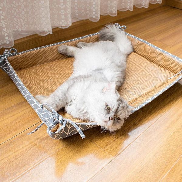 pet mat cat summer double sided beds heat dissipation and cooling washable nest large size cushions ventilation & furniture
pet mat cat summer double sided beds heat dissipation and cooling washable nest large size cushions ventilation & furniture