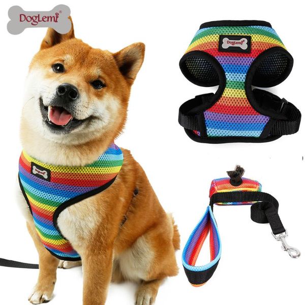 dog collars & leashes doglemi breathable rainbow mesh pet harness with lead jogging leash set
dog collars & leashes doglemi breathable rainbow mesh pet harness with lead jogging leash set