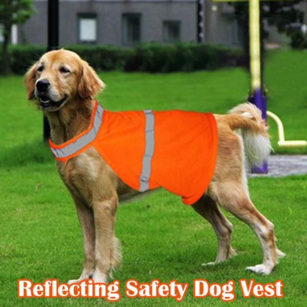 dog apparel pet cat reflective vest fluorescent security walking clothes safe luminous waterproof supplies
dog apparel pet cat reflective vest fluorescent security walking clothes safe luminous waterproof supplies