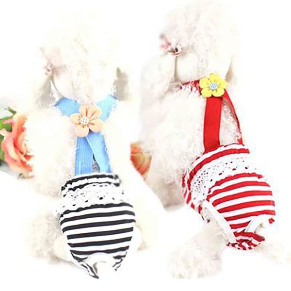 dog apparel dogs chiens underpad for diapers panties chihuahua bitch female jumpsuit women's shorts everything menstrual pants stripe a
dog apparel dogs chiens underpad for diapers panties chihuahua bitch female jumpsuit women's shorts everything menstrual pants stripe a