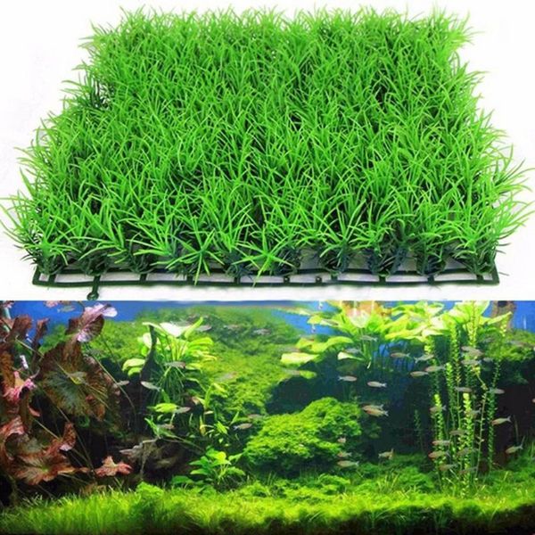 fish tank landscaping supplies encrypted turf lawn fake grass simulation aquatic plants aquarium decorations
fish tank landscaping supplies encrypted turf lawn fake grass simulation aquatic plants aquarium decorations