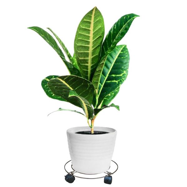 metal round flower plant pot tray 4 wheels heavy planter flowers mover trolley plate stand holder garden tools planters & pots
metal round flower plant pot tray 4 wheels heavy planter flowers mover trolley plate stand holder garden tools planters & pots