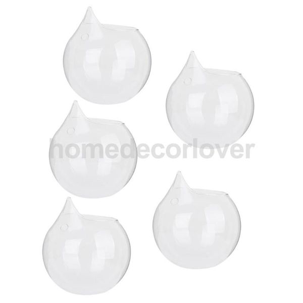 vases 5pieces 4inch hanging glass ball vase hydroponic flower plant pot terrarium container decor
vases 5pieces 4inch hanging glass ball vase hydroponic flower plant pot terrarium container decor
