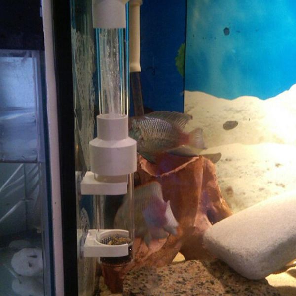 easy install farming tumbler fish incubator tool transparent tank 40mm non toxic mouth breeder eggs hatche aquarium protective aquariums
easy install farming tumbler fish incubator tool transparent tank 40mm non toxic mouth breeder eggs hatche aquarium protective aquariums
