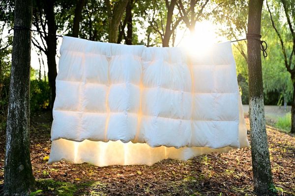 natural plant fiber keeps warm baby-friendly down quilt comforters & sets
natural plant fiber keeps warm baby-friendly down quilt comforters & sets