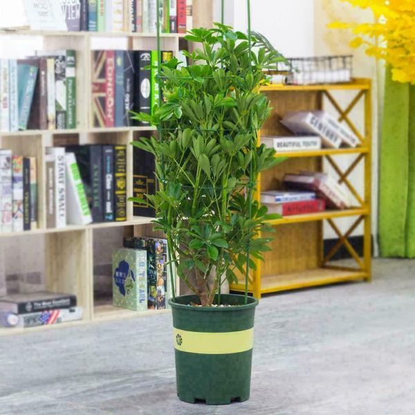other garden supplies climbing plant support cage trellis flowers stand rings tomato li