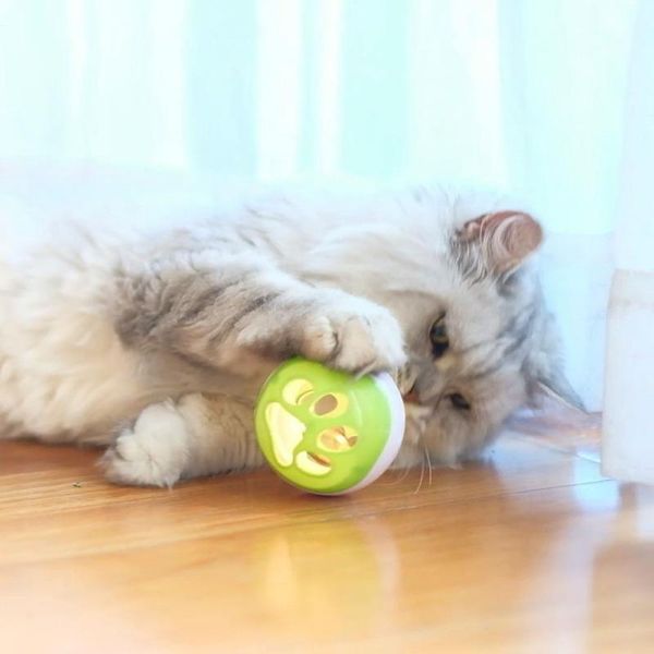 cat toys 2 colors pet bell hollow luminous ball cats ring playing chew scratch plastic interactive training
cat toys 2 colors pet bell hollow luminous ball cats ring playing chew scratch plastic interactive training