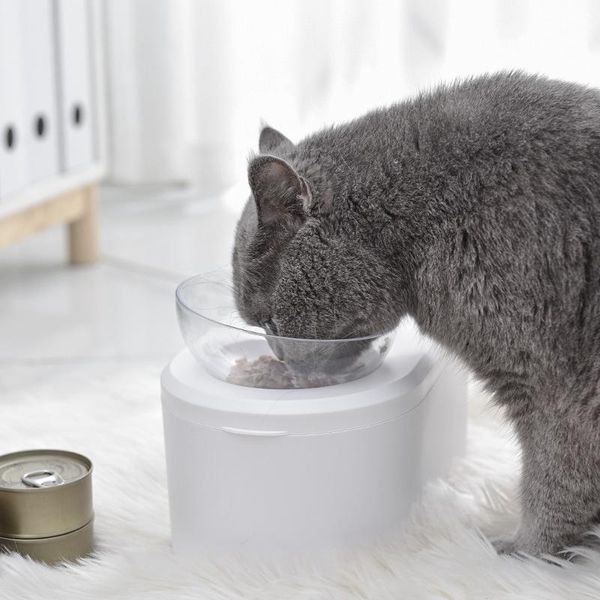 cat bowls & feeders pet dog raised feeder with airtight storage detachable water bowl elevated stand
cat bowls & feeders pet dog raised feeder with airtight storage detachable water bowl elevated stand