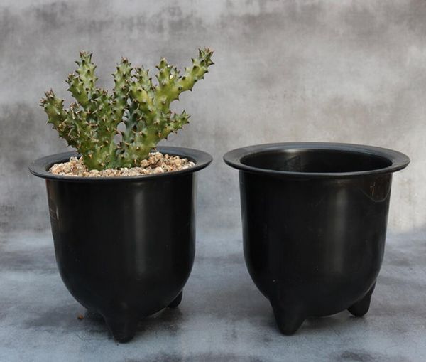 planters & pots diameter 12cm,practical wild plastic basin,special basin for fairy ball resin vientiane basin,meaty artifical flowerpot,plan
planters & pots diameter 12cm,practical wild plastic basin,special basin for fairy ball resin vientiane basin,meaty artifical flowerpot,plan