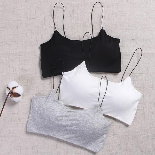 cotton sports bras solid push up women bra jogging gym ladies girls underwear fitness running yoga sport outfit
cotton sports bras solid push up women bra jogging gym ladies girls underwear fitness running yoga sport outfit