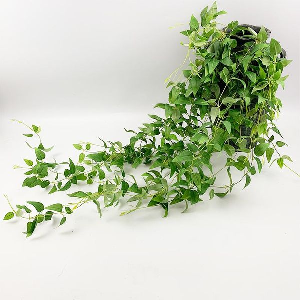 decorative flowers & wreaths 1 meter of bamboo leaf rattan wedding party decoration simulation plant silk cloth flower christmas wreath lea
decorative flowers & wreaths 1 meter of bamboo leaf rattan wedding party decoration simulation plant silk cloth flower christmas wreath lea