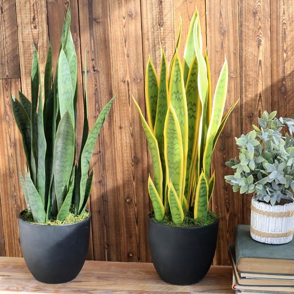 decorative flowers & wreaths artificial succulent agave monolithic tropical leaves desert plants sansevieria trifasciata prain home office d
decorative flowers & wreaths artificial succulent agave monolithic tropical leaves desert plants sansevieria trifasciata prain home office d