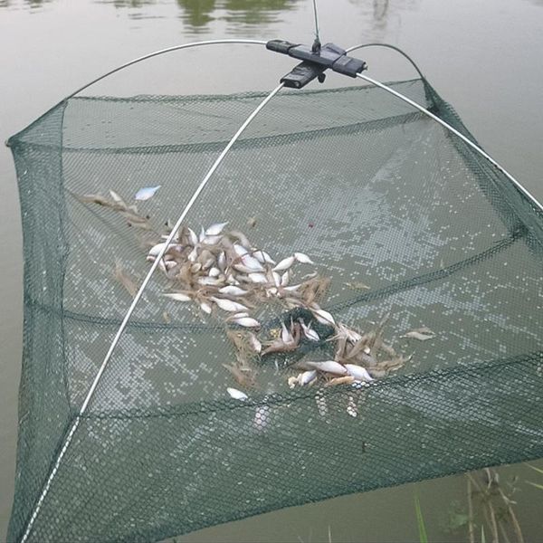 80x80cm portable fishing net foldable folding mesh nylon baits trap cast dip crab shrimp nets outdoor fishnet accessories
80x80cm portable fishing net foldable folding mesh nylon baits trap cast dip crab shrimp nets outdoor fishnet accessories