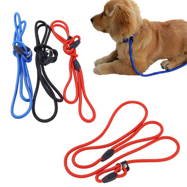 dog collars & leashes nylon leash training walking rope collar strengthen traction harness medium lead belt
dog collars & leashes nylon leash training walking rope collar strengthen traction harness medium lead belt