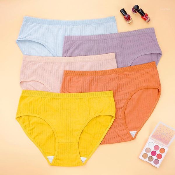 women's panties 5 pcs/lot cotton briefs womens lingerie soft striped underwear plus size 3xl 4xl pantiessoft comfort mid waist underpan, Black;pink
women's panties 5 pcs/lot cotton briefs womens lingerie soft striped underwear plus size 3xl 4xl pantiessoft comfort mid waist underpan, Black;pink
