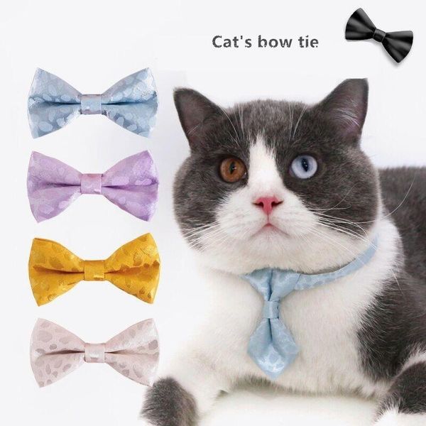 dog collars & leashes adjustable cat gentleman bow collar leopard print anti-suffocation pet bell tie puppy chihuahua accessories
dog collars & leashes adjustable cat gentleman bow collar leopard print anti-suffocation pet bell tie puppy chihuahua accessories