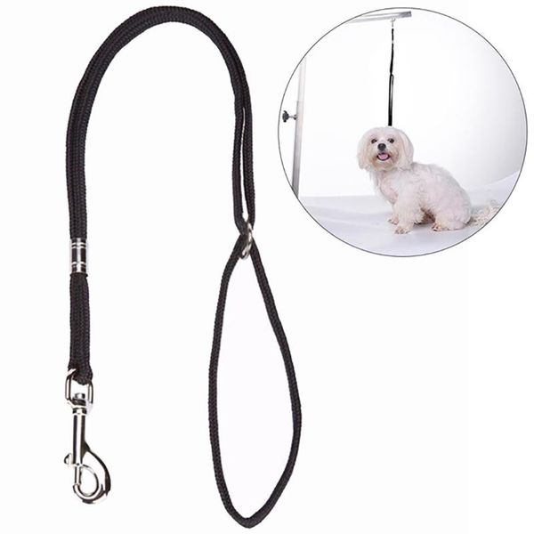 dog leash nylon pet noose loop lock clip rope durable hanging harness dogs grooming table arm bath restraint drop collars & leashes
dog leash nylon pet noose loop lock clip rope durable hanging harness dogs grooming table arm bath restraint drop collars & leashes