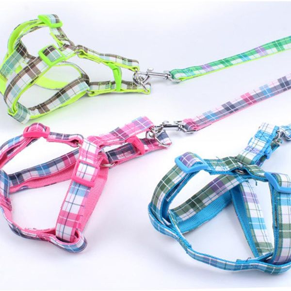dog collars & leashes adjustable pet supplies wholesale patch plaid chain collar chest strap harness for outdoor training product
dog collars & leashes adjustable pet supplies wholesale patch plaid chain collar chest strap harness for outdoor training product