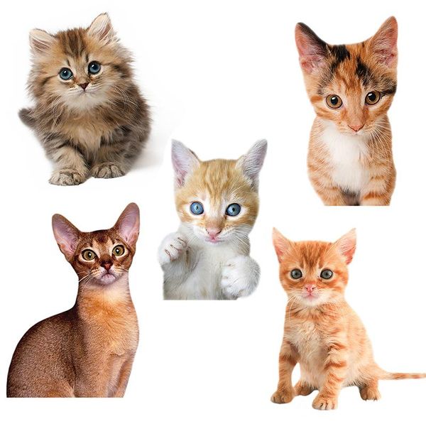 wall stickers three ratels qd103 cute kitten home decoration accessories for kids room pvc car hood sticker
wall stickers three ratels qd103 cute kitten home decoration accessories for kids room pvc car hood sticker