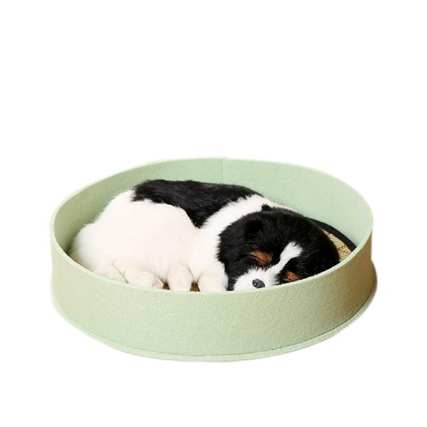 cat beds & furniture summer dog mat candy color round pet kennel fashion simple supplies factory wholesale
cat beds & furniture summer dog mat candy color round pet kennel fashion simple supplies factory wholesale
