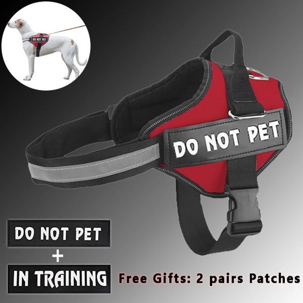 dog collars & leashes collar luminous adjustable pet leash for dogs reflective harness outdoor nylon breast-band muzzle products
dog collars & leashes collar luminous adjustable pet leash for dogs reflective harness outdoor nylon breast-band muzzle products
