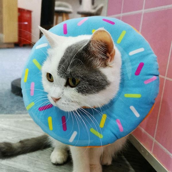 dog collars & leashes pet donut headgear cotton stuffed elizabeth e-collar print cat collar protection cover wound healing prevent bite play
dog collars & leashes pet donut headgear cotton stuffed elizabeth e-collar print cat collar protection cover wound healing prevent bite play