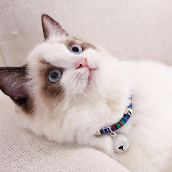 cat collars & leads collar with cute bell adjustable comfortable pet supplies for small dog kitten puppy grsa889
cat collars & leads collar with cute bell adjustable comfortable pet supplies for small dog kitten puppy grsa889