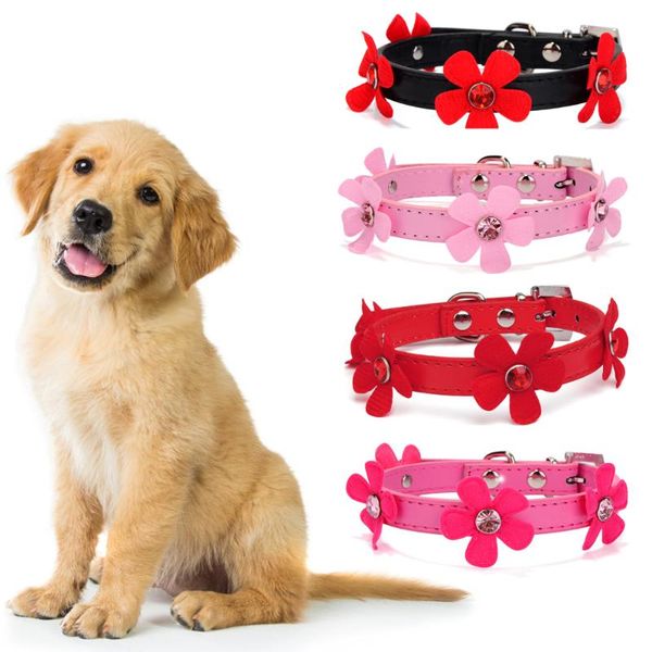 dog collars & leashes pet acrylic flower collar color diamond sun rhinestone chain accessory leads neck decor
dog collars & leashes pet acrylic flower collar color diamond sun rhinestone chain accessory leads neck decor