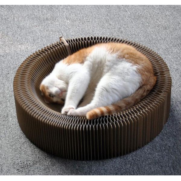 cat toys 1pc pet toy accordion style scratch board folding scratching bed claw care
cat toys 1pc pet toy accordion style scratch board folding scratching bed claw care