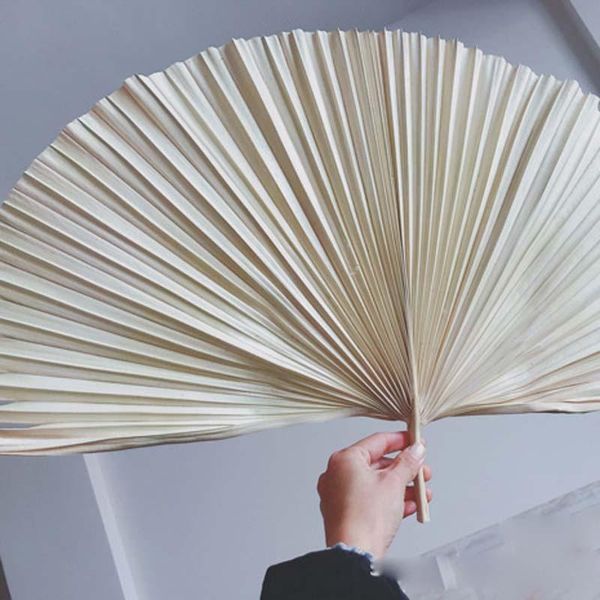 decorative flowers & wreaths 2/pcs pu kui fan leaves, reed dried diy collocation, layout shooting, scene, fan, palm tree leaves bleaching
decorative flowers & wreaths 2/pcs pu kui fan leaves, reed dried diy collocation, layout shooting, scene, fan, palm tree leaves bleaching