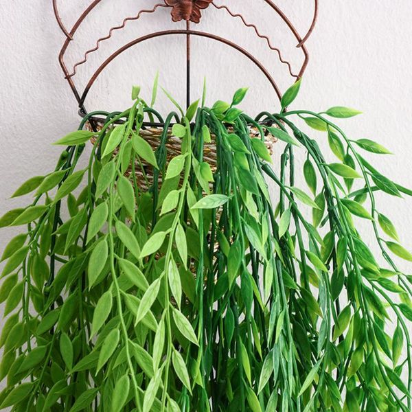 decorative flowers & wreaths artificial hanging plants ivy leaves fake vine leaf garland decor green for home living room
decorative flowers & wreaths artificial hanging plants ivy leaves fake vine leaf garland decor green for home living room