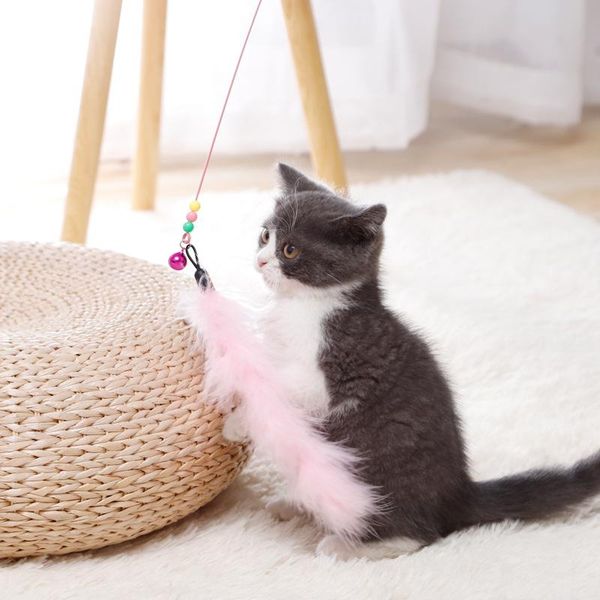 cat toys toy high toughness two-color feather steel wire funny stick interactive dancer wand
cat toys toy high toughness two-color feather steel wire funny stick interactive dancer wand