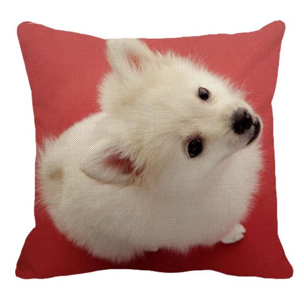 45cmx45m animal dog chihuahua linen comfortable cushion cover living room sofa decorative pillow yh015 cushion/decorative
45cmx45m animal dog chihuahua linen comfortable cushion cover living room sofa decorative pillow yh015 cushion/decorative