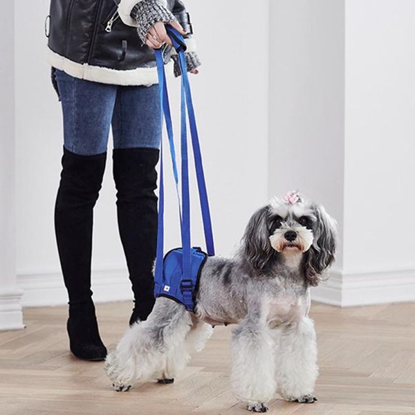 dog collars & leashes puppy harness leash walking lifting carry lift support for hip assist injured disabled pet dogs collar
dog collars & leashes puppy harness leash walking lifting carry lift support for hip assist injured disabled pet dogs collar