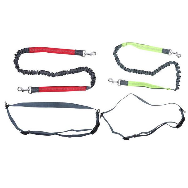 cat collars & leads outdoor traction rope retractable buckle pet nylon for big dogs small
cat collars & leads outdoor traction rope retractable buckle pet nylon for big dogs small