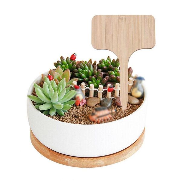 other garden supplies t-type bamboo plant labels eco-friendly wooden sign tags markers for bonsai seed potted herbs flowers tool
other garden supplies t-type bamboo plant labels eco-friendly wooden sign tags markers for bonsai seed potted herbs flowers tool