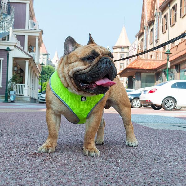 dog collars & leashes adjustable harness vest soft nylon luxury jogging leash small dogs pitbull harnais pour chien puppy pet safety belt dd
dog collars & leashes adjustable harness vest soft nylon luxury jogging leash small dogs pitbull harnais pour chien puppy pet safety belt dd