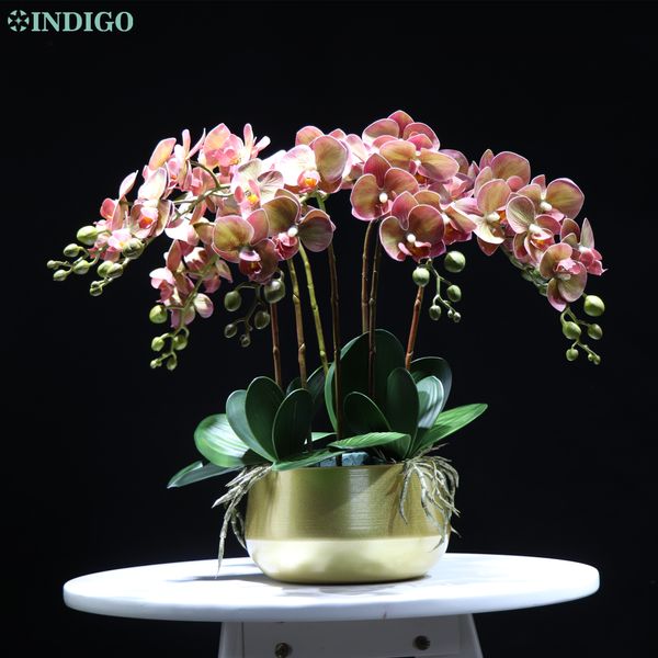 phalaenopsis (7pcs orchid+5pcs leaves+pot) diy flower arrangment real touch flower office decoration event centerpiece - indigo
phalaenopsis (7pcs orchid+5pcs leaves+pot) diy flower arrangment real touch flower office decoration event centerpiece - indigo