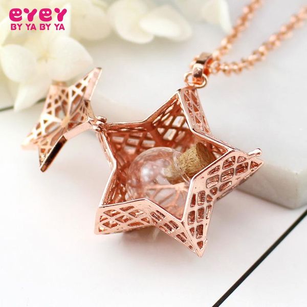 

pendant necklaces 1pc big star locket with fillable glass orb memory necklace jewelry cremation, Silver