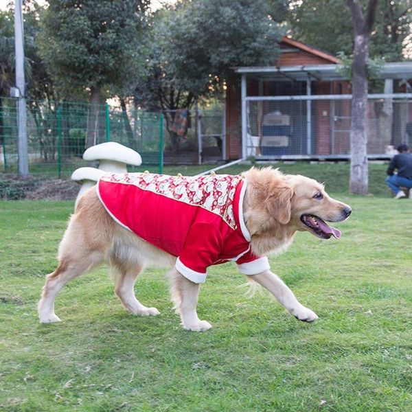 dog apparel clothes winter warm coat fortune cat year chinese tang dynasty costume for dogs christmas chihuahua
dog apparel clothes winter warm coat fortune cat year chinese tang dynasty costume for dogs christmas chihuahua