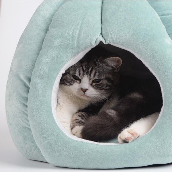 cat beds & furniture cats bed 2021 fashion cartoon cactus pet house dog small medium sizeremovable washable
cat beds & furniture cats bed 2021 fashion cartoon cactus pet house dog small medium sizeremovable washable