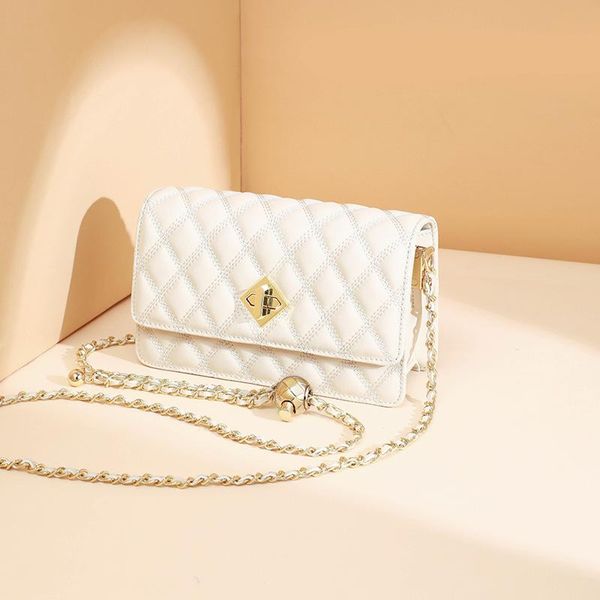 evening bags niche bag women's summer 2021 cross-body leather fashion versatile chain tide small golden ball
evening bags niche bag women's summer 2021 cross-body leather fashion versatile chain tide small golden ball