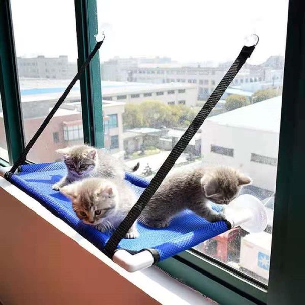 cat beds & furniture hanging bed sucker nest breathable pet hammock glass window suction cup swing
cat beds & furniture hanging bed sucker nest breathable pet hammock glass window suction cup swing