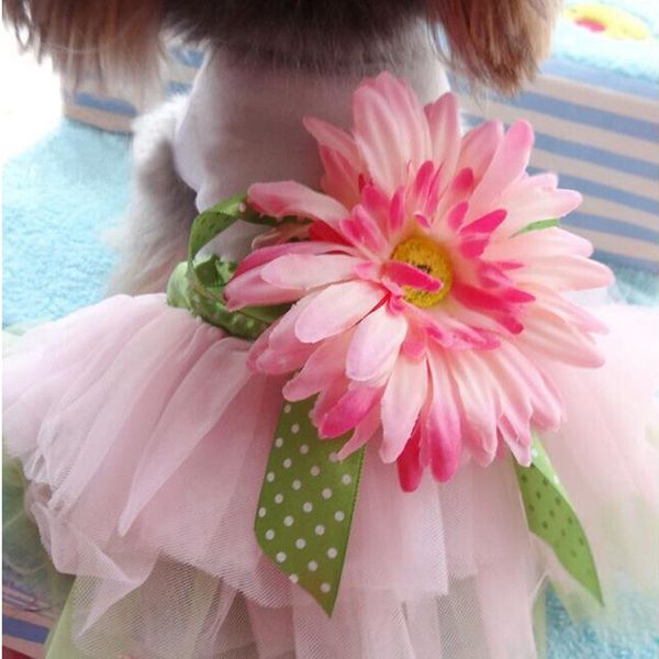 dog apparel clothes small dogs dress spring summer cute puppy pets medium lace princess chihuahua mascotas seaside vacation style
dog apparel clothes small dogs dress spring summer cute puppy pets medium lace princess chihuahua mascotas seaside vacation style