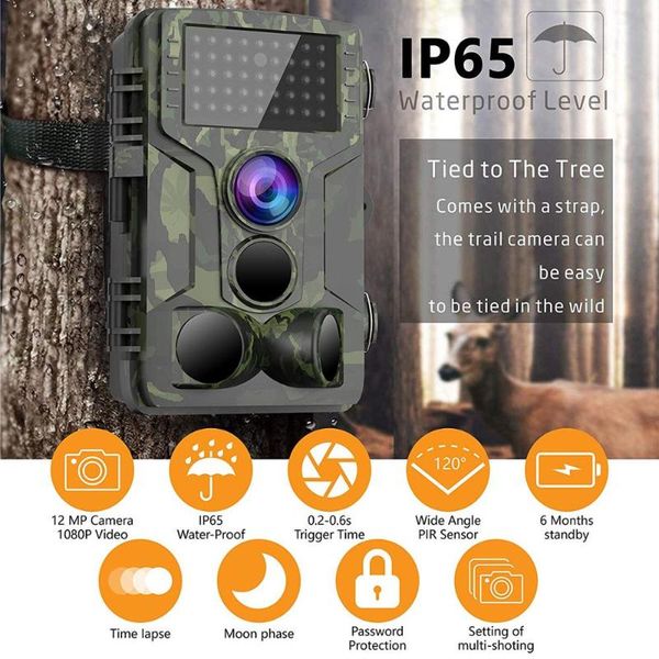 camera trap hunting ip65 waterproof night vision wild cameras po 940nm viewing trail 4g/3g/2g gsm mms
camera trap hunting ip65 waterproof night vision wild cameras po 940nm viewing trail 4g/3g/2g gsm mms