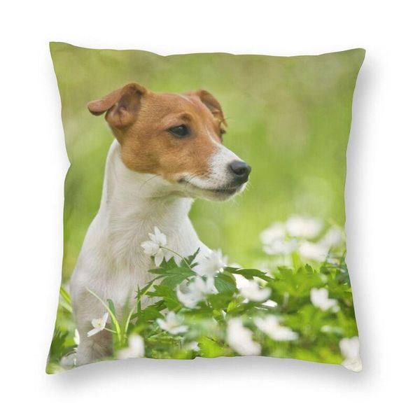 cushion/decorative pillow jack russell terrier dog throw cover home decorative custom puppy lover cushion 45x45 pillowcover for living room
cushion/decorative pillow jack russell terrier dog throw cover home decorative custom puppy lover cushion 45x45 pillowcover for living room