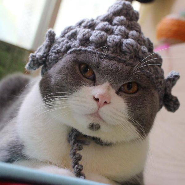 cat costumes buddha hat knitted cute pet head cover supplies funny cos furry costume modeling for accessories
cat costumes buddha hat knitted cute pet head cover supplies funny cos furry costume modeling for accessories