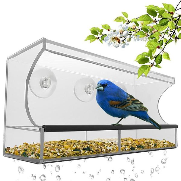 window bird feeder acrylic suction cups seed tray wild birds hanging birdhouse kits e7 cages
window bird feeder acrylic suction cups seed tray wild birds hanging birdhouse kits e7 cages
