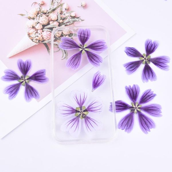 decorative flowers & wreaths 1 bag mallow dried flower diy hand-embossed embossed plant specimen greeting card bookmark aroma candle pressed
decorative flowers & wreaths 1 bag mallow dried flower diy hand-embossed embossed plant specimen greeting card bookmark aroma candle pressed