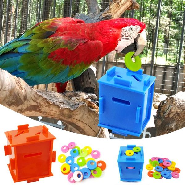other bird supplies parakeet parrot intelligence toys birds puzzle toy coin box pets training playing for pet
other bird supplies parakeet parrot intelligence toys birds puzzle toy coin box pets training playing for pet